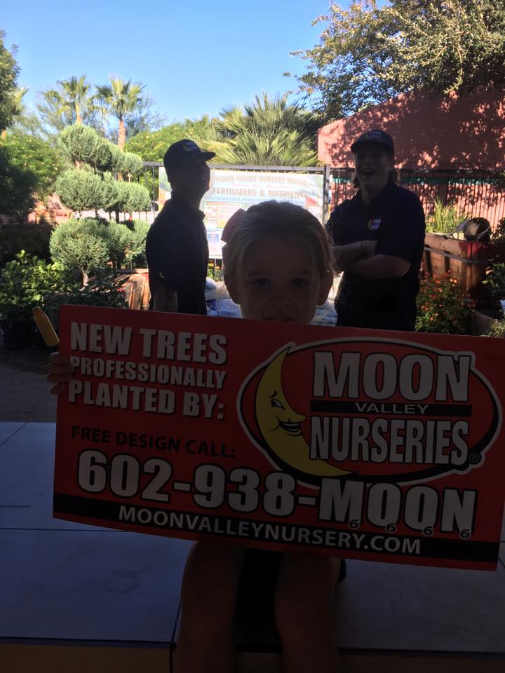 Moon Valley Nursery Company Profile Office Locations Compeors Moon Valley Nursery Company Profile Office Locations Compeors Funding Valuation Financials Employees Key People Subsidiaries News Craft Co