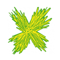 Phytowelt