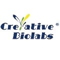 Creative Biolabs