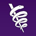 American Medical Association