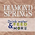 Diamond Springs