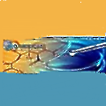Bio-medical & Pharmaceutical Manufacturing