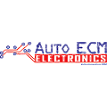 Auto ECM Electronics