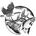 Colorado Taxidermist