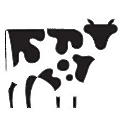 Copper Cow Coffee
