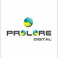 Prolore Search Marketing