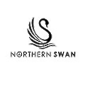 Northern Swan