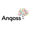 Angoss Software