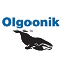 Olgoonik Global Security