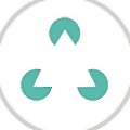 IOV