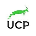United Capital Partners