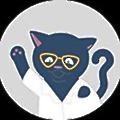 Voxsio