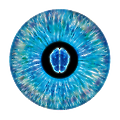 NeurOptics