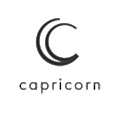 capricorn AUTOMOTIVE