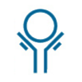 English & Scientific Consulting