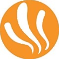 Hoi Foods