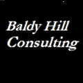 Baldy Hill Consulting