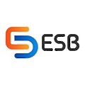 Esensi Solusi Buana