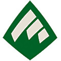 AMS Financial Solutions Group