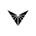 Voyager Technologies