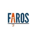 Faros AI