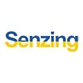 Senzing