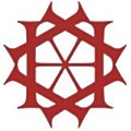 HAS Healthcare Advanced Synthesis