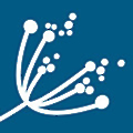 Didi Hirsch Mental Health Services