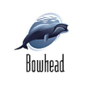 Bowhead Professional and Technical Solutions