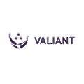 Valiant Government Services