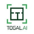 Togal.AI