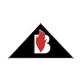 Braddock Metallurgical Holding