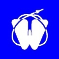 Woodard Electric