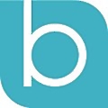 Bradley Lead Group