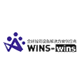 Shenzhen Wins Electronic Technology