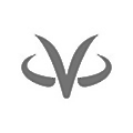 VirtualZ Computing