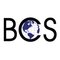 Bradshaw Consulting Services
