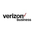 Verizon Business Network Services