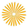 Dandi Fertility