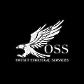 Offset Strategic Services