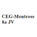CEG-Montrose 8a JV