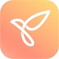 Youper