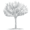 Cleantech Law Partners