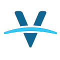 Vision Executive Coaching
