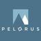 Pelorus Consulting