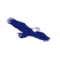 Eagle Financial Services