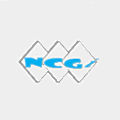 Nielsen Consulting Group
