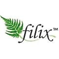 Filix Consulting
