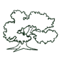 Clean Management Environmental Group