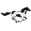 Painted Pony